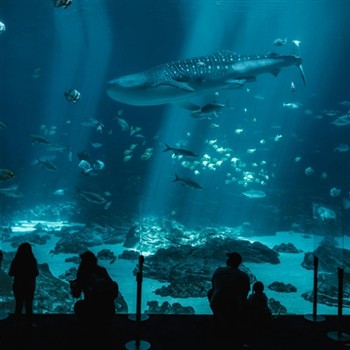 Adventure Aquarium & Philadelphia Zoo