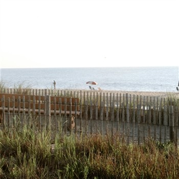 Bethany Beach, DE Beach Bus