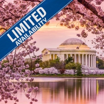 Washington DC - Cherry Blossom Freetime