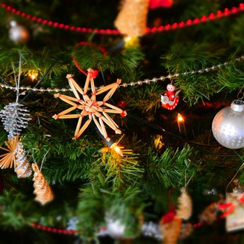 Holiday Mystery Tour