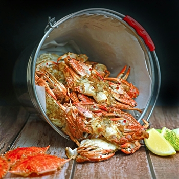 Kent Island Crab Feast & Cruise