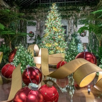 A Longwood Christmas